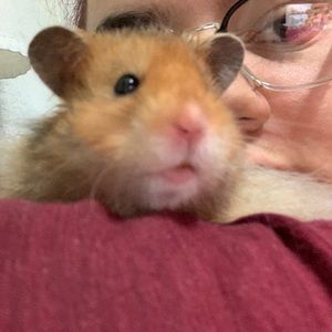 Meet your Posher, Kelly